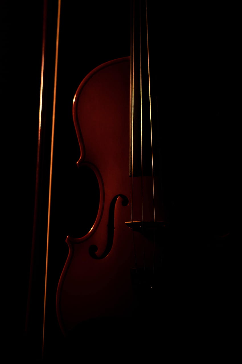 Music, Dark, Musical Instrument, Violin HD phone wallpaper