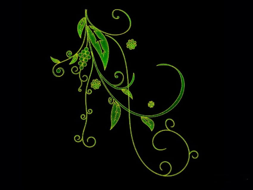 녹색 포도, 덩굴, 잎, 꽃 HD 월페이퍼