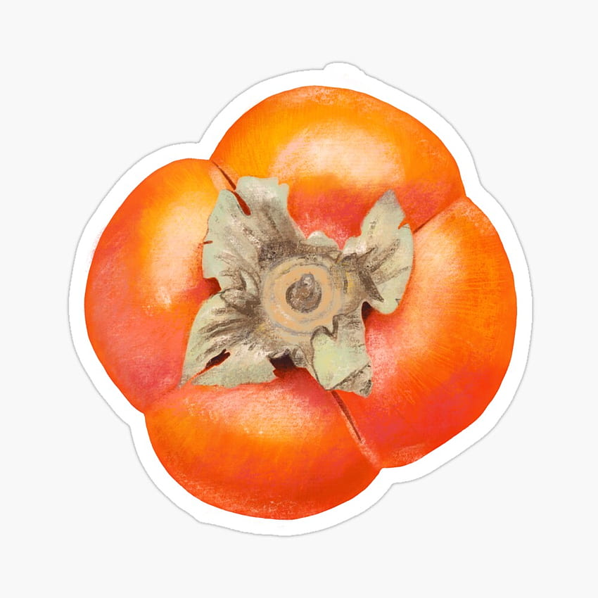 Orange Art, Japanese Kaki Fruit Illustration, Persimmon , Beige Background Greeting Card HD phone wallpaper