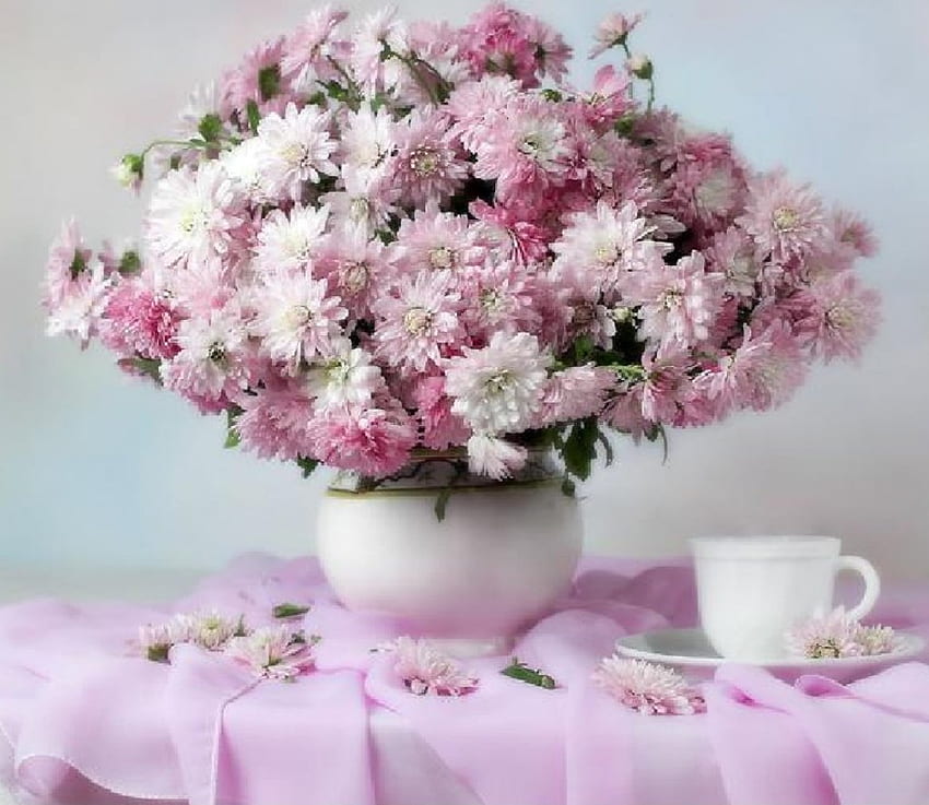 czas na herbatę z chryzantemą, wazon z chryzantemami, martwa natura, różowy, czas na herbatę, kwiaty Tapeta HD