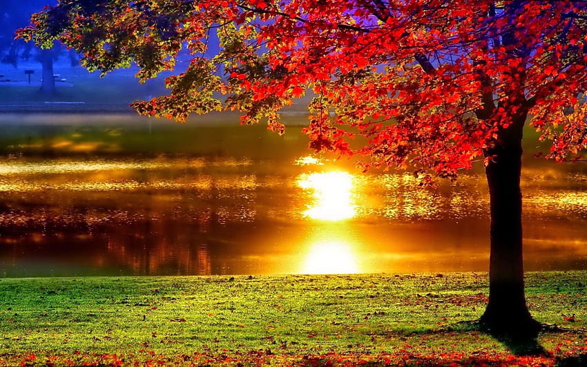 Lakeside Sunset Reflection HD wallpaper | Pxfuel