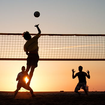 How ICE Picks Its Targets in the Surveillance Age, beach volleyball ...