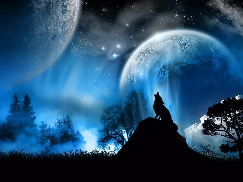 Fantasy, Nature, Wolf, Full Moon HD wallpaper