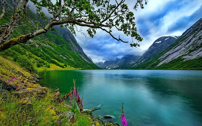 Calm mountain lake, landscape, beautiful, serenity, mountain, lake, wildflowers, reflection, calm, clear HD wallpaper