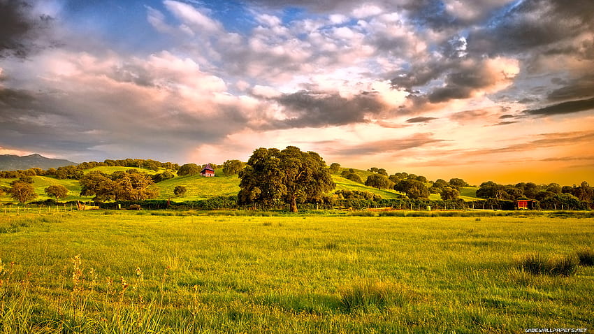 Weidefelder, Wolken, Felder, Bauernhof, Baum HD-Hintergrundbild