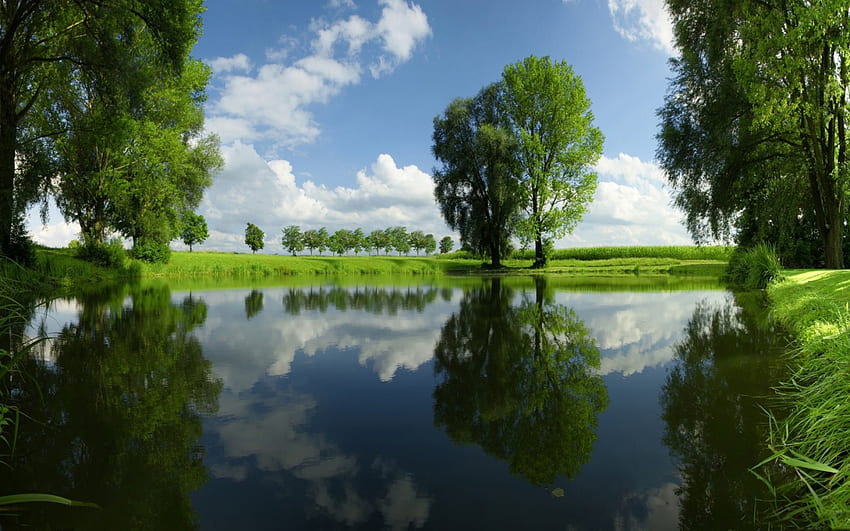 Wunderschöner klarer See, Gras, Land, See, Tageslicht, Tag, Spiegelung, Wolken, Bäume, Natur, Himmel, Wasser, Wald HD-Hintergrundbild