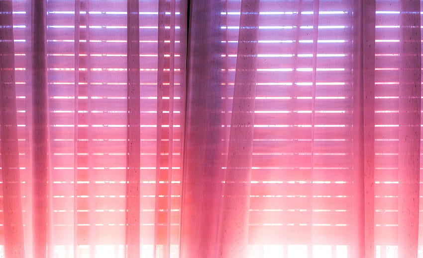 Pink, Bright, , , Jalousie, Tender, Curtains HD wallpaper
