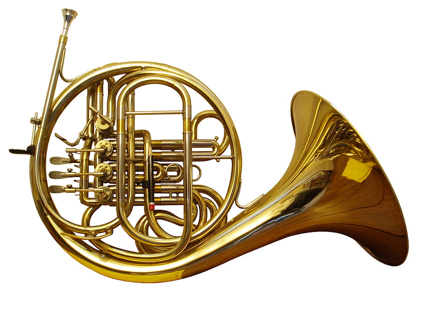 Horns . Deer Horns, French Horn HD wallpaper | Pxfuel