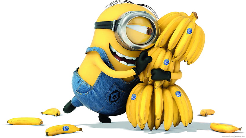 A Cute Collection Of Despicable Me, Cute Despicable Me Minions HD wallpaper