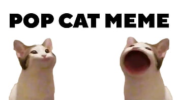 Pop Cat Polish Cow GIF  PopCat PolishCow Meme  Discover  Share GIFs   Cow meme Pop cat Cat painting