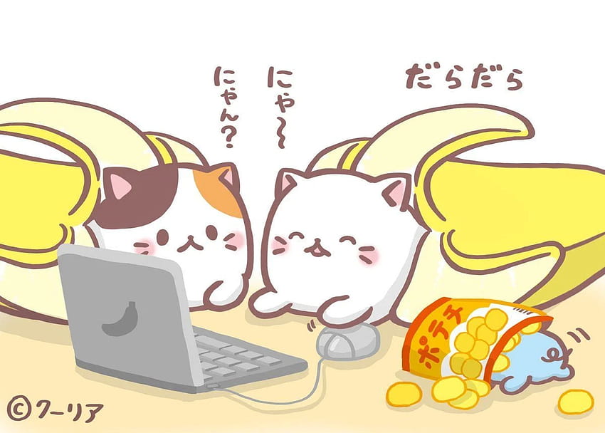TVアニメ『ばなにゃ』公式. Twitter. Q.T, Chibi Cat HD wallpaper
