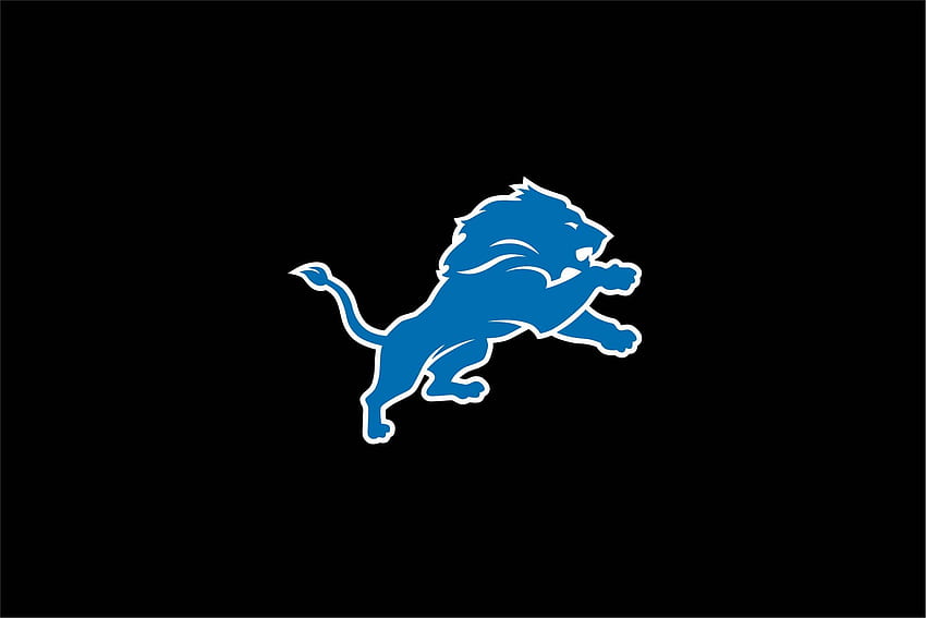 Detroit Lions iPhone 5S Wallpapers - Top Free Detroit Lions iPhone 5S  Backgrounds - WallpaperAccess