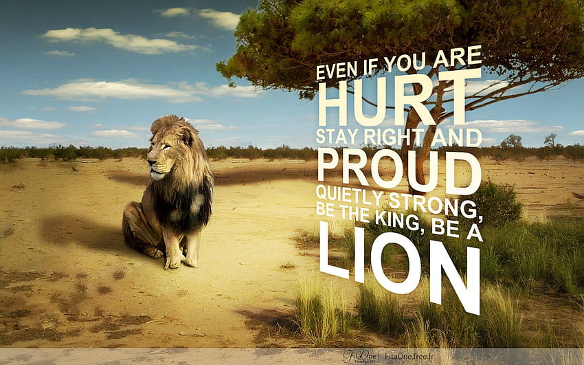 Lion King Quotes, Strong Lion HD wallpaper