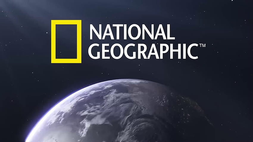 National Geographic - Kit de escavação de dentes de tubarão!, logotipo da National Geographic papel de parede HD