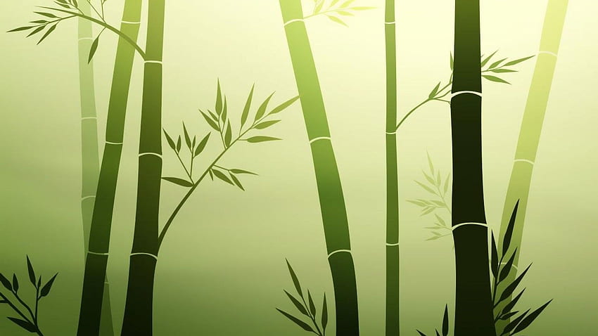 Bamboo 4K Wallpapers  Top Free Bamboo 4K Backgrounds  WallpaperAccess