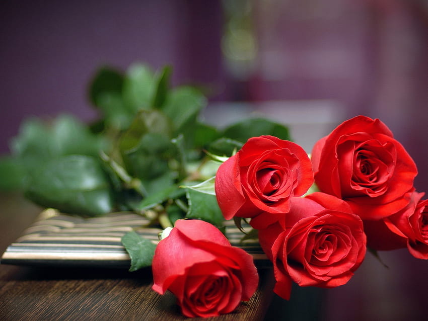 Czerwone róże miłości na tle stołu, czerwona róża laptopa Tapeta HD