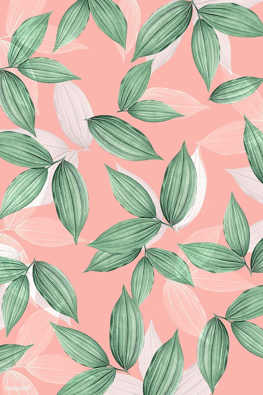 빈티지 핑크 열 대 잎이 많은 배경의 프리미엄 . 미적 패턴, 핑크 트로피컬, 나뭇잎 아이폰, 귀여운 미적 나뭇잎 HD 전화 배경 화면