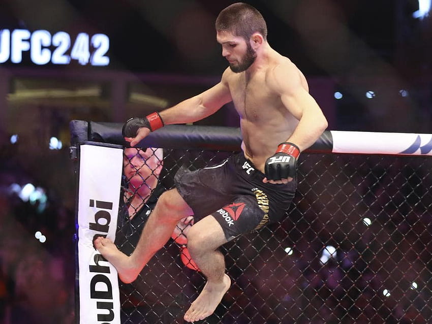 UFC 242 Khabib Nurmagomdeov def Dustin Poirier: results, Khabib Nurmagomedov HD wallpaper