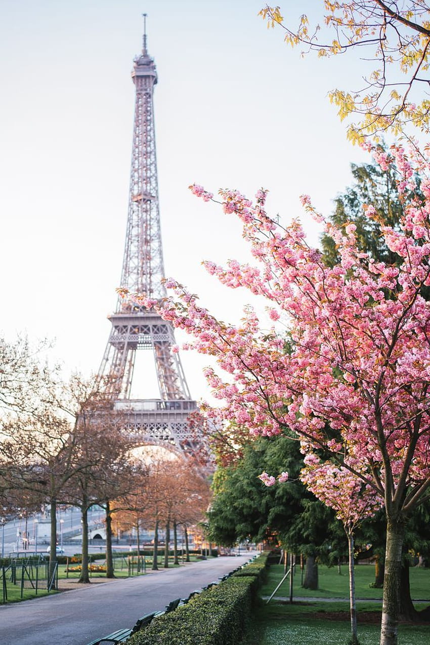 パリの背景のアイデア. パリ、パリ、エッフェル塔、春のパリ HD電話の壁紙
