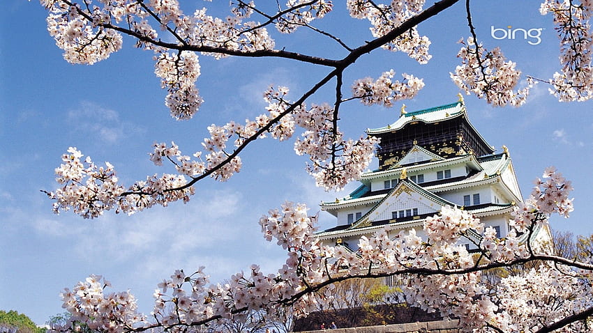 Temple cherry blossoms landscapes nature oriental HD wallpaper