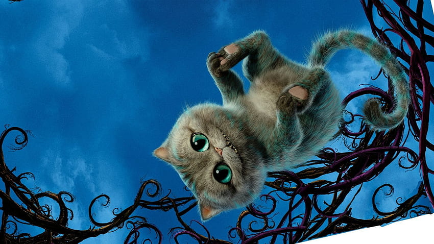 Cheshire Cat -, Disney Cheshire Cat HD wallpaper