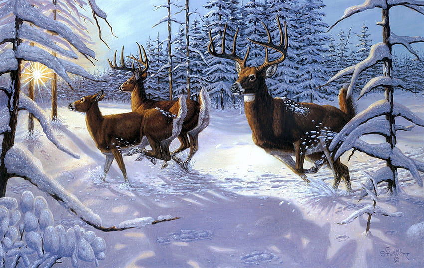 Gene Stewart Winter sow forst deer ., Christmas Deer HD wallpaper