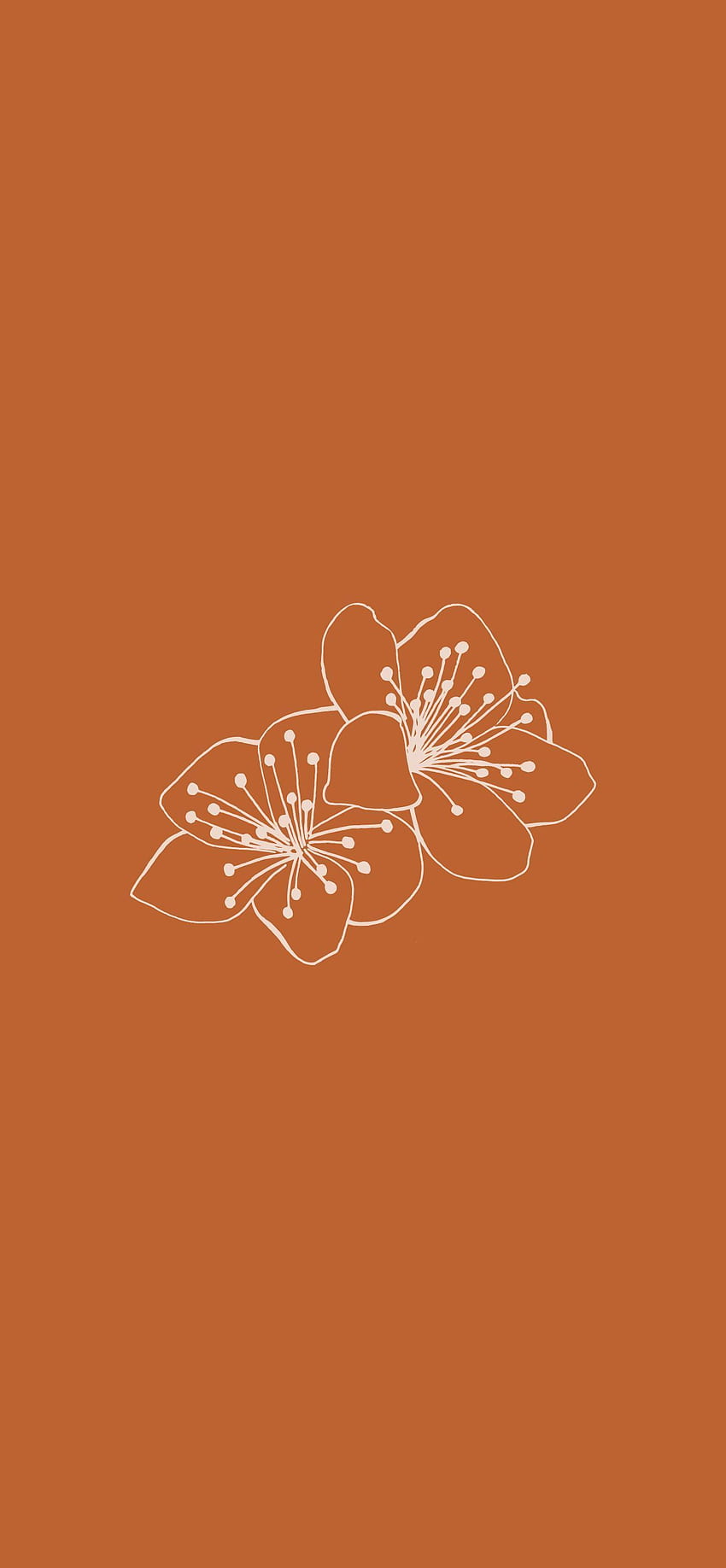 Estetyczna ikona wyróżnienia historii na Instagramie. Burnt Orange Florals, kwiaty Boho, le. Estetyczny iPhone, Estetyczny pomarańczowy, Estetyczny iPhone tumblr Tapeta na telefon HD