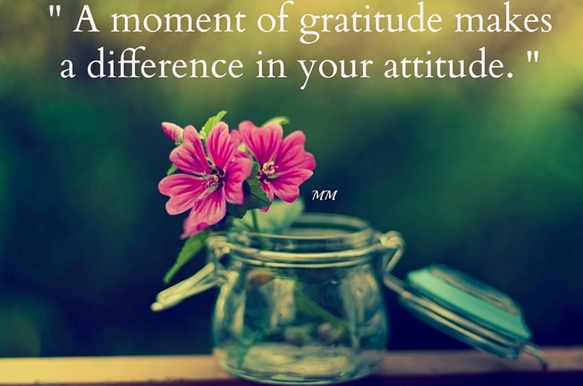 Gratitude, Inspirational, Flowers, Nature, Quotes, Thoughts, Words HD wallpaper