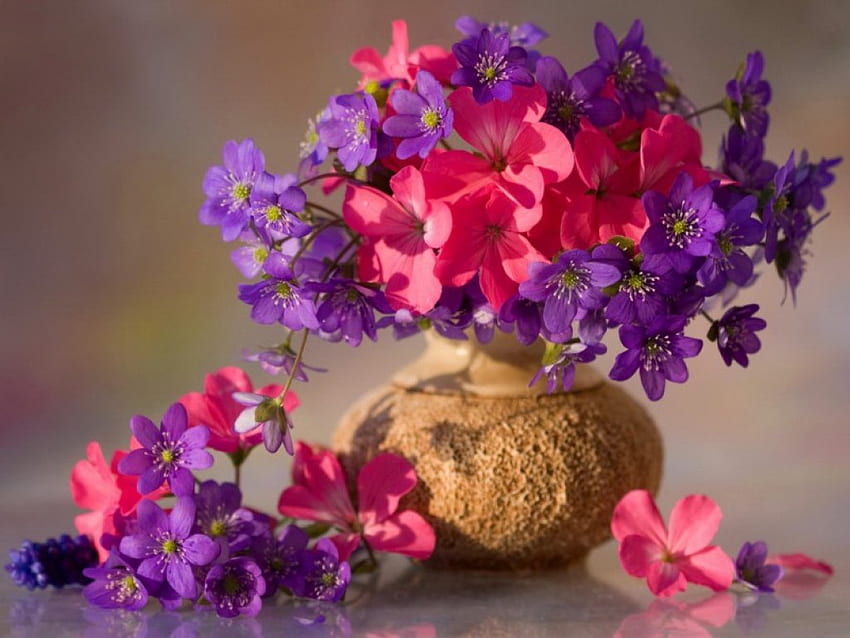 Still life, bouquet, colorfyl, vase, beautiful, nice, pretty, flowers, elegance, harmony HD wallpaper
