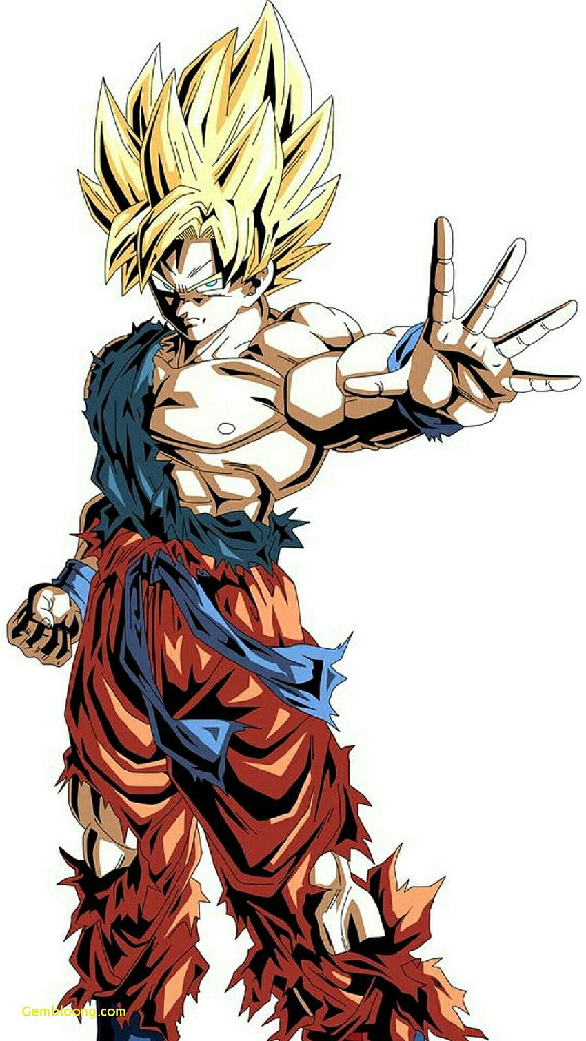 Brett Melograno - Son Goku - Super Saiyan God