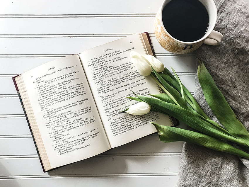 Cibo, tulipani, caffè, libro Sfondo HD