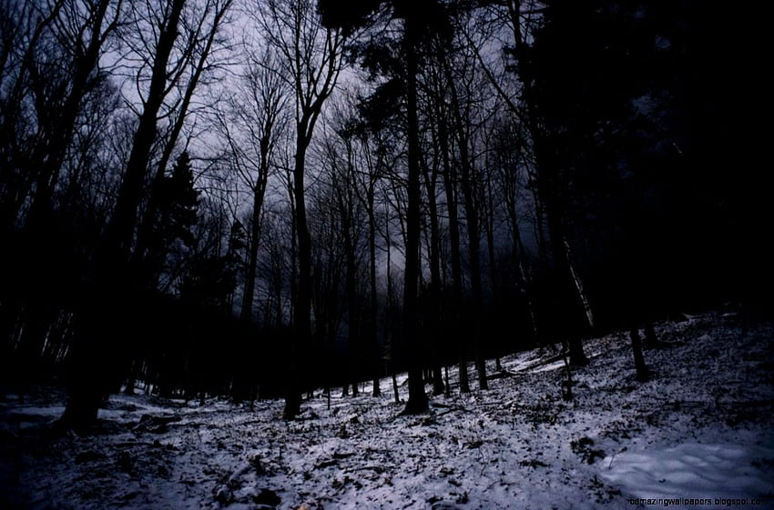 Dark Winter Night HD wallpaper