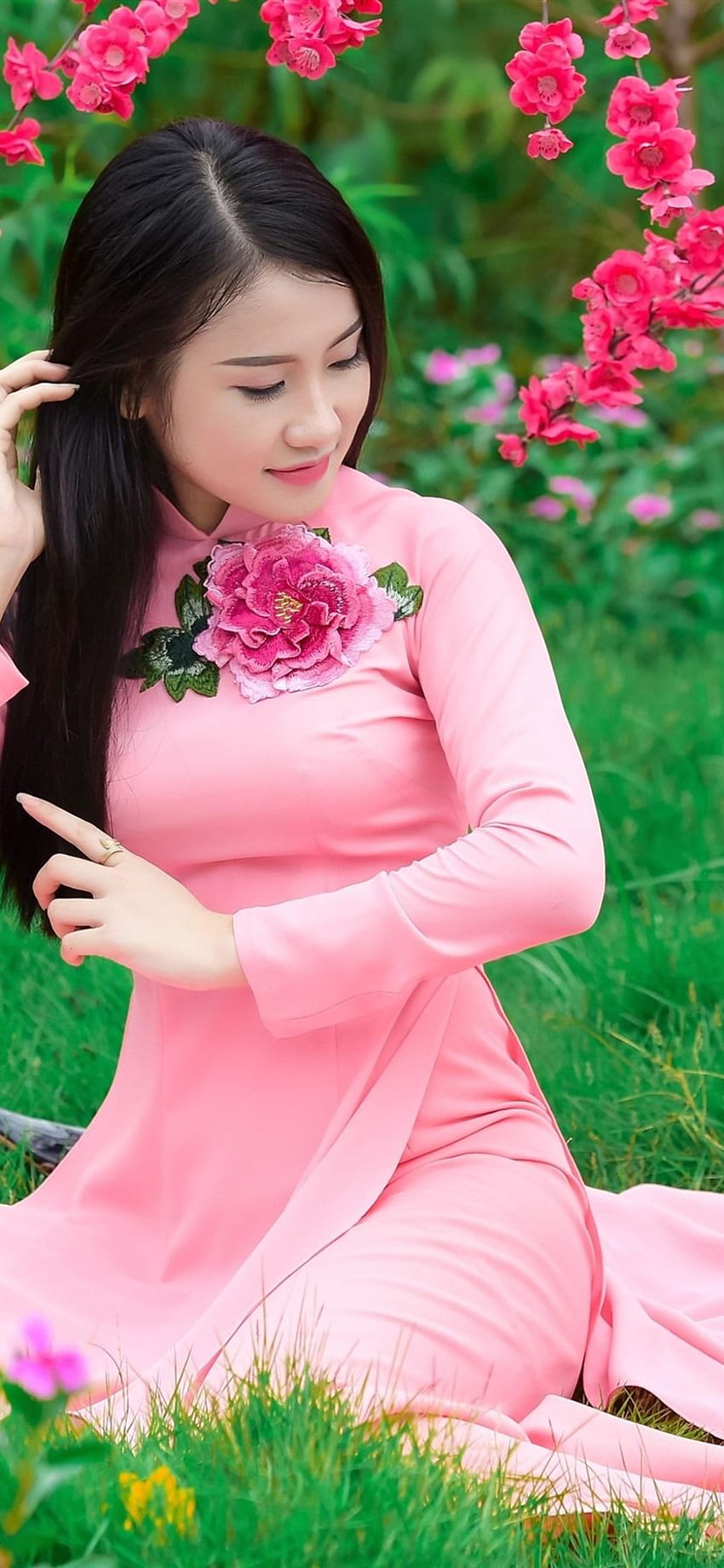 桜の開花、美しい中国の女の子、ピンクのドレス U 、 HD電話の壁紙