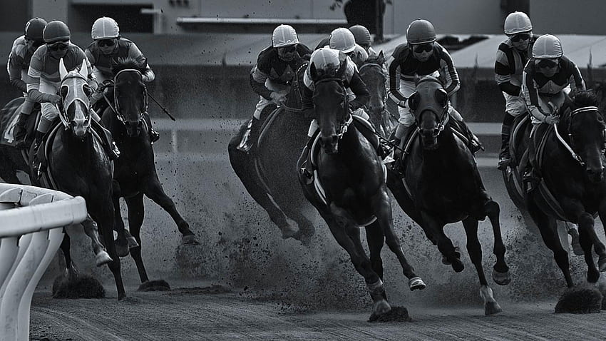 Corsa di cavalli in bianco e nero Sky Cloud Giappone Aichi Equitazione, cavallo da corsa Sfondo HD