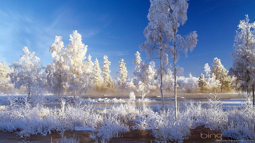 Paisagem de Inverno Contexte 9 . Natureimgz. Paysage d'hiver, Fond d'hiver, Paysage, Fun Winter Fond d'écran HD