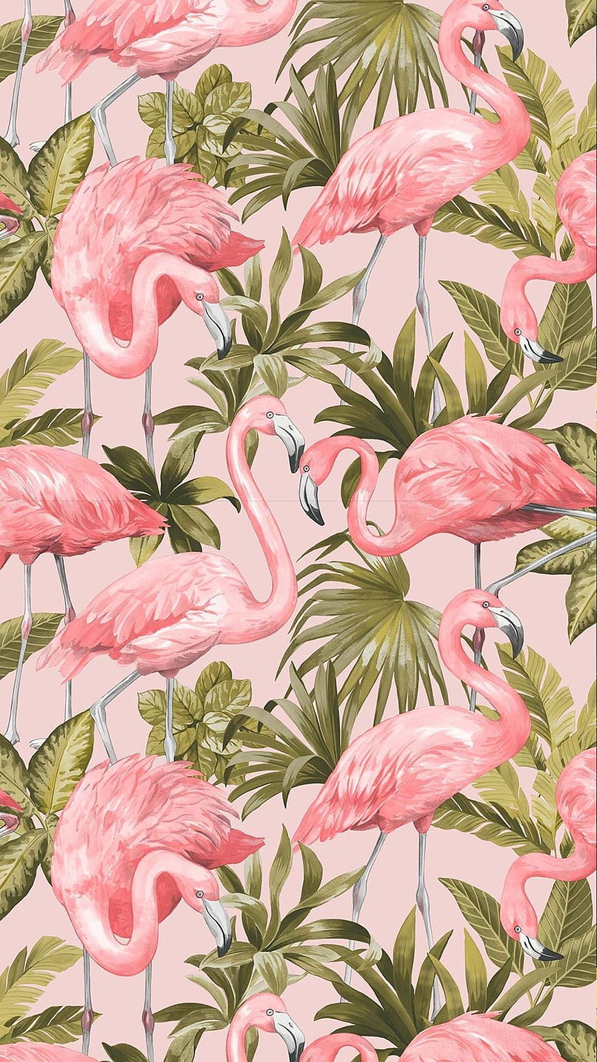 Flamingo Blush, rosa. Fenicottero, farfalla, fenicottero rosa, rosa tropicale Sfondo del telefono HD