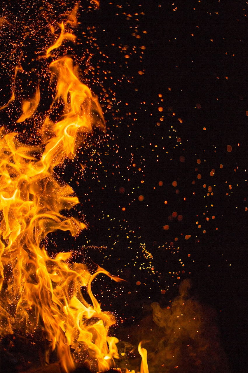 Kacang kopi. Api, Berjalan Denganku. Api, elemen Api, Luka Bakar, Estetika Api wallpaper ponsel HD