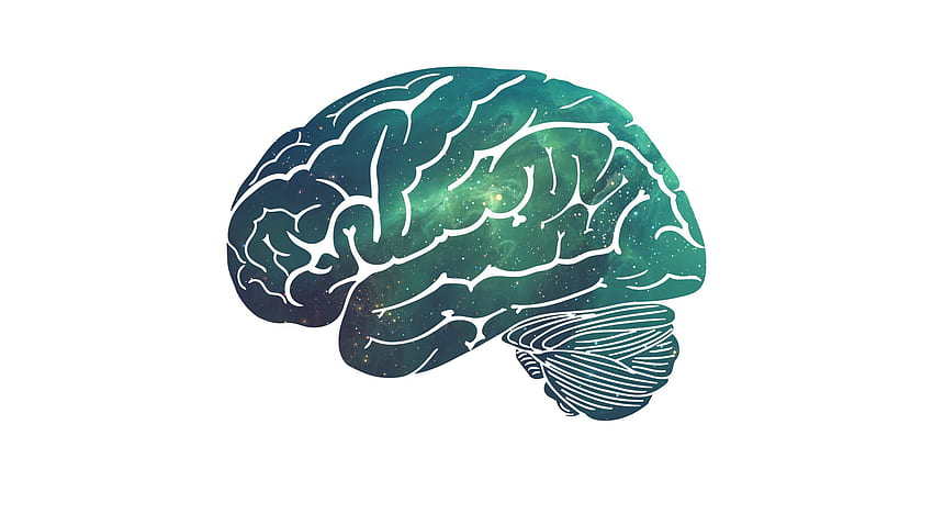 Brain for your or mobile screen and easy to , Galaxy Brain HD wallpaper