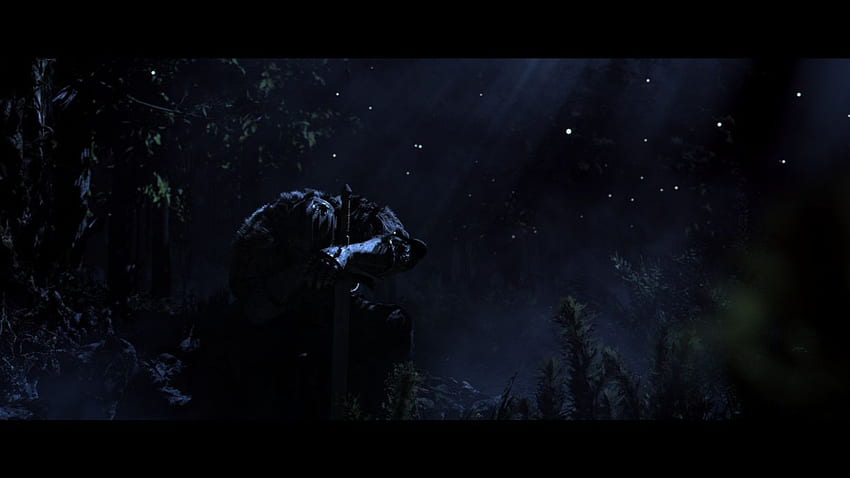 Night forests knights men fantasy art armor artwork warriors, Cinematic HD wallpaper