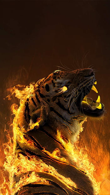 Burning Tiger iPhone - iPhone : iPhone , Tiger Man HD phone wallpaper |  Pxfuel