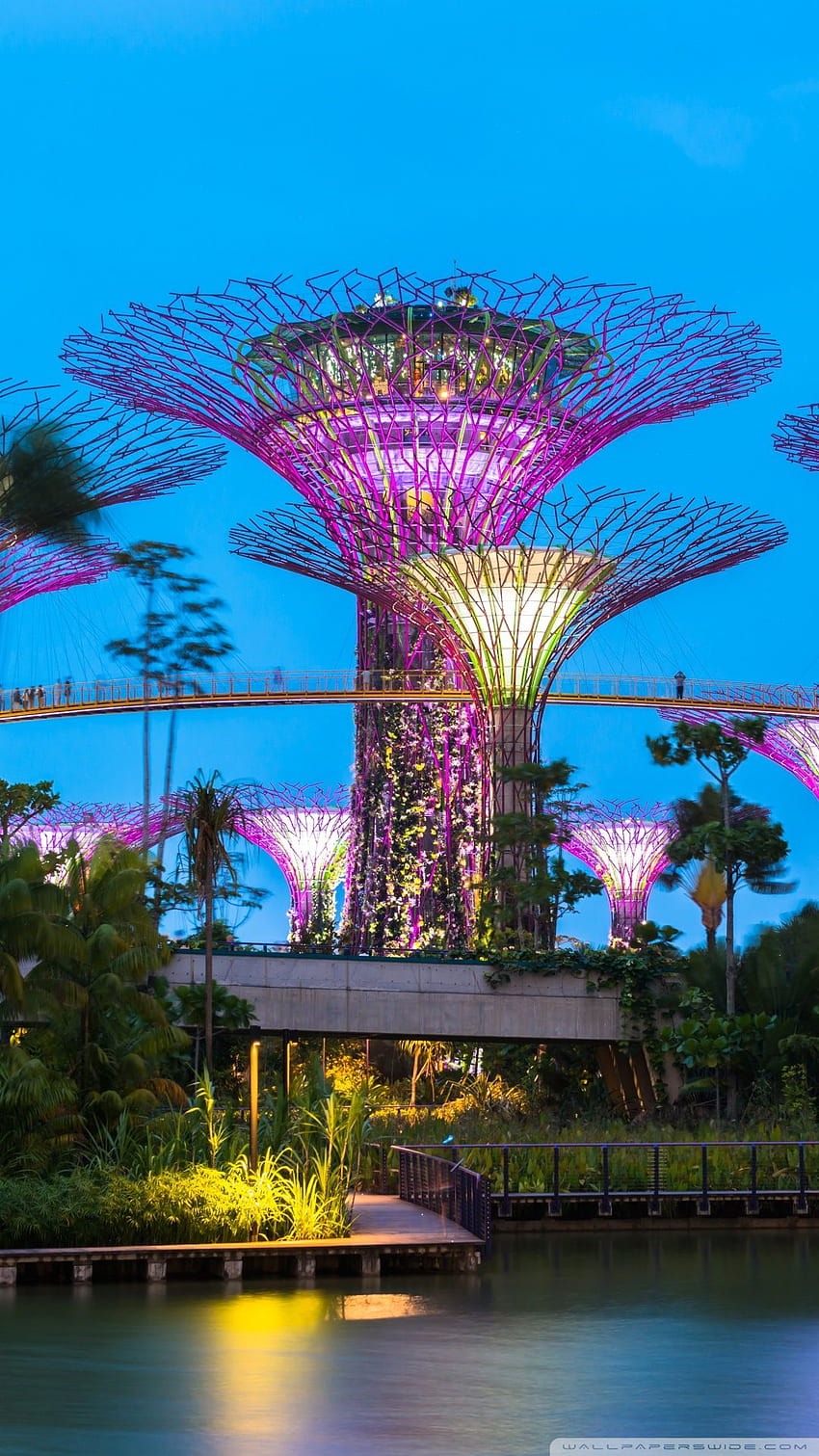 スーパーツリー グローブ、ガーデンズ バイ ザ ベイ、シンガポール ❤ HD電話の壁紙
