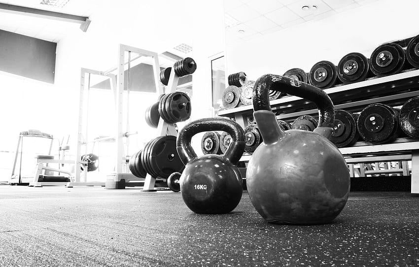 gym, distribution, Equipment, Russian dumbbell, Fitness Weights HD wallpaper