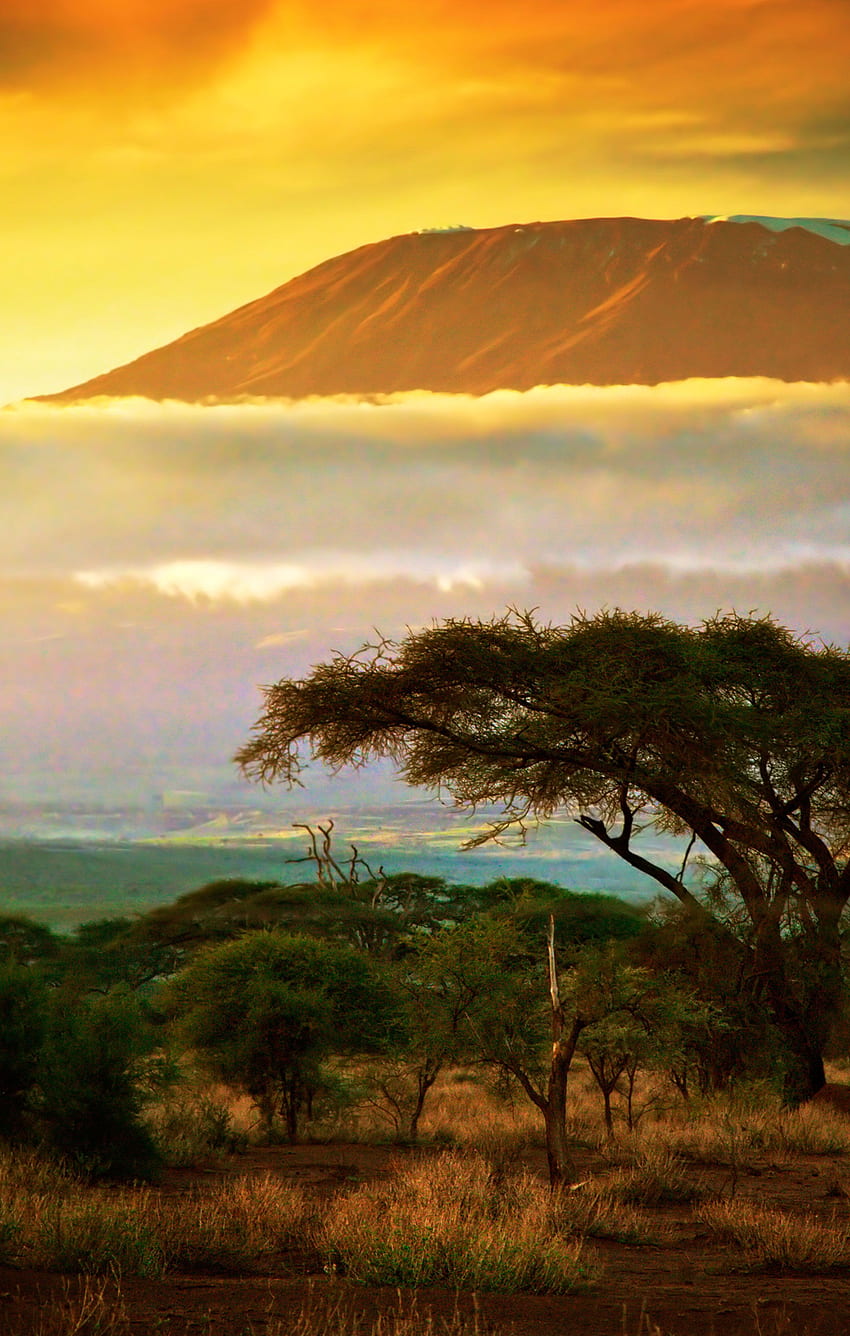 ͈ 9-дневна обиколка на Кения без въздушен транспорт от изгодни ваканции; Цена на човек при двойно настаняване Купете 1 гр. Готини места за посещение, пътуване до Африка, пътуване до Танзания, планината Кения HD тапет за телефон