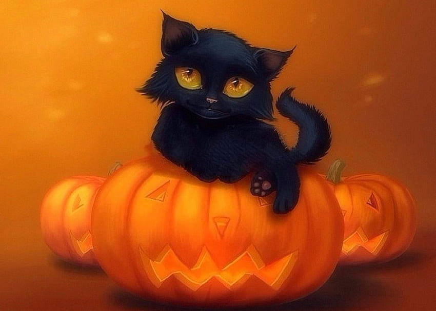 Halloween Kitten, kitten, black cat, cats, paintings, digital art, pumpkins, love four seasons, halloween, holiday, animals, autumn, fall season HD wallpaper