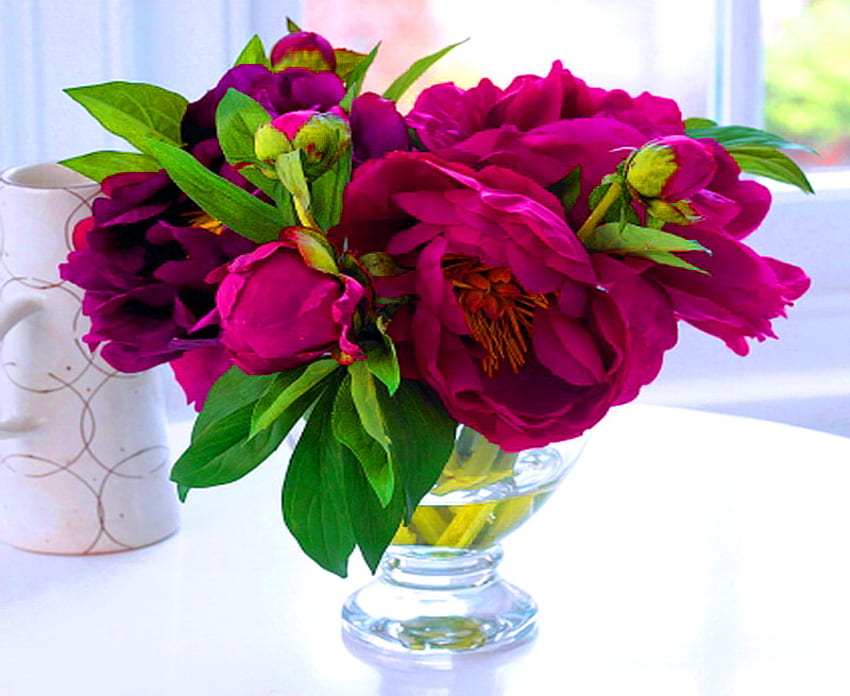 Bouquet de Bourgogne, pivoines, vert, vase, fleurs, couleur bordeaux Fond d'écran HD