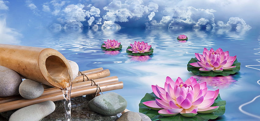de Lotus A agua Verão. de verano, de agua, Pintura, Bamboo Spa fondo de pantalla
