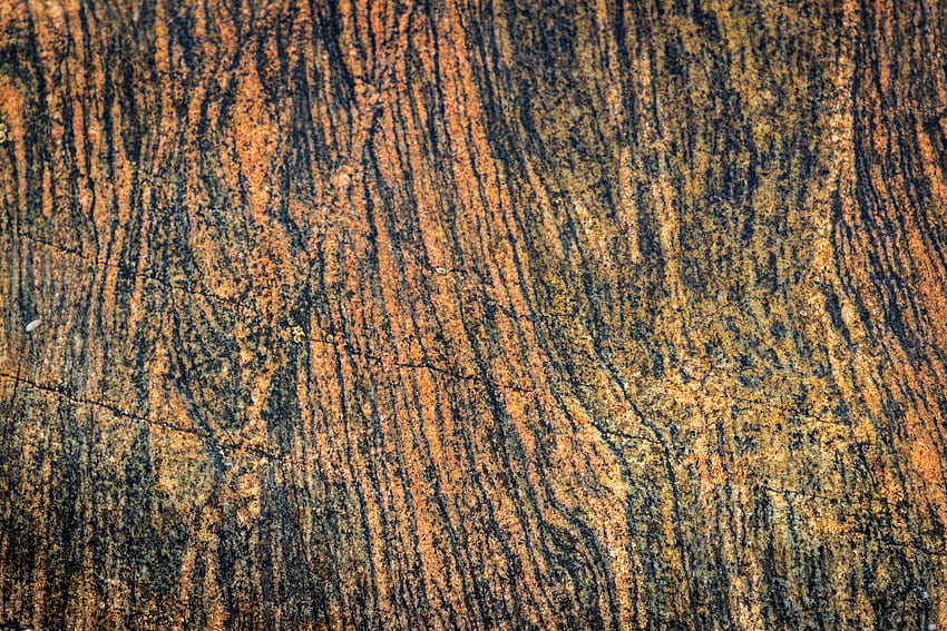 Wood, Wooden, Tree, Texture, Textures, Brown, Relief, Bark HD wallpaper