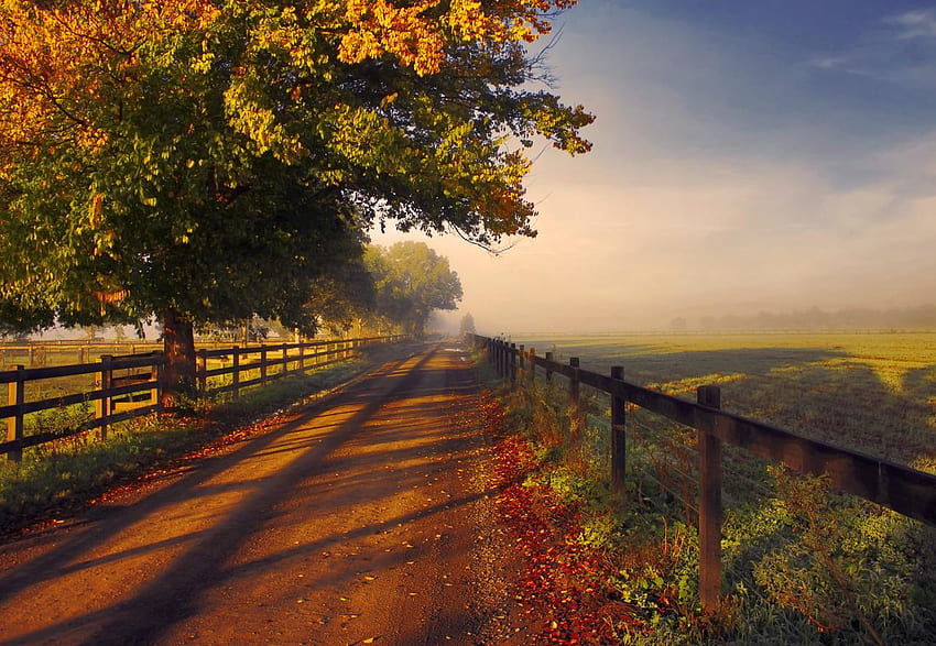 Estrada de terra de outono (2215), pôr do sol de outono rural papel de parede HD