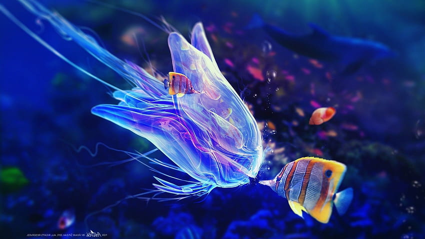 Belo mundo subaquático com peixes e águas-vivas, Ocean Animals papel de parede HD