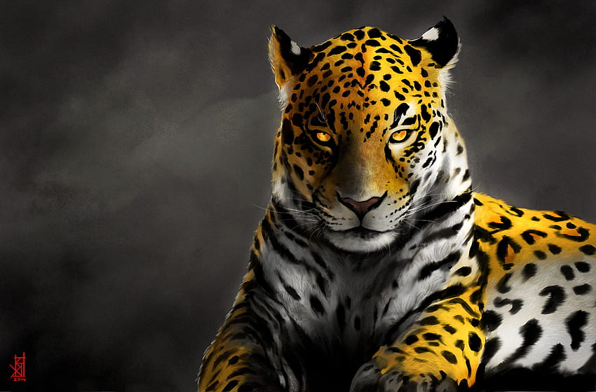 Jaguar and background HD wallpapers | Pxfuel